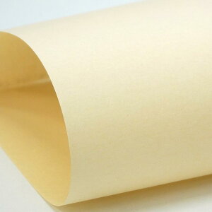 y[OKz܂񂾂炼qr^A4^50