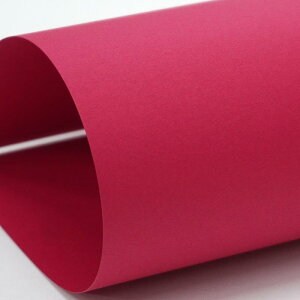 y[OKzNTVԁq130r^A4^50