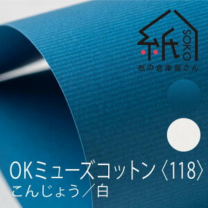 ylR|XOKzOK~[YRbg q118r 񂶂傤^^A4^20̑qɉ