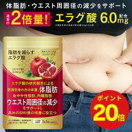 【ポイント20倍！9/15 23時まで!】 ダイエットサプリ エラグ酸 肥満 体重 体脂肪 内臓脂肪 血中中性脂肪 …