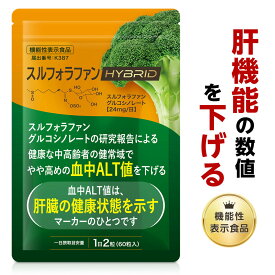 【ポイント10倍！5/9 22時から!】 肝臓 サプリ スルフォラファン ブロッコリースプラウト 血中ALT値を下げる 機能性表示食品 オルニチン 亜鉛 日本製 30日分 肝機能ALT値 ALT スルフォラファングルコシノレート お酒 飲み会