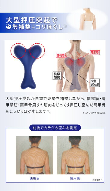 楽天市場 プロイデア Proidea 首から背中のバランスボーン スマホ首 巻き肩 ストレッチ 首こり マッサージ 肩こり 解消 送料無料 モノコーポレーション