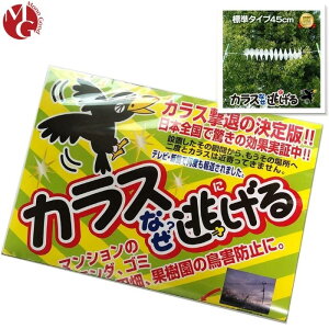 JX悯 ΍ JXȂH W^Cv 1 JX JX悯 JX  ObY JX悯 ΍  |Cgp