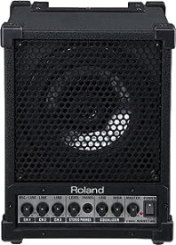 Roland Cube Monitor 30W CM-30