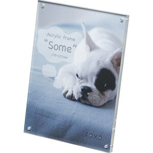 y񂹁z tHgt[ AN z 2L  ʐ^ ʐ^ tHgX^h ӂƂӂ[ Vanjoh   ANt[ T 2LTCY