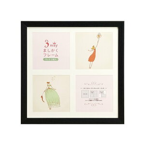 xr[ t@~[ XeL  Vanjoh 3WAY ܂t[ 20p ubN