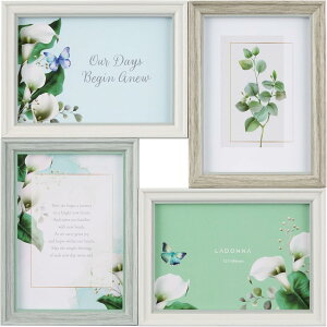 tHgt[  4 LTCY  ʐ^ tHgX^h  Ǌ| ӂƂӂ[ CeA LADONNA v[g Mtg  hi tHgt[ SF24-40-MGR ~gO