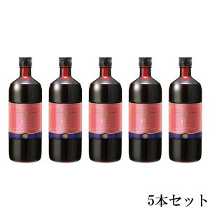 �y������5�{�Z�b�g�z�t�@�X�g�U�C���C�I 720ml�y���������z