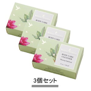 Shahnaz Ayurveda Vi[Y A[F[_ ^[bN\[v 100gy3Zbgzyz