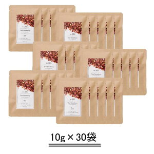 TEAtriCO eB[gR 301eB[g Xgx[y10g×30܁zyz