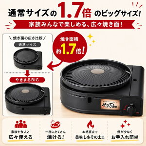 IWATANI ��J �C���^�j �J�Z�b�g�K�X �X���[�N���X�O���� �₫�܂�r�b�O CB-SLG-BIG�y���������z