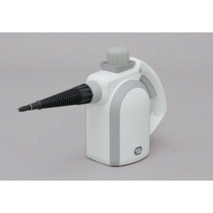 �X�`�[���N���[�i�[�n���f�B�^�C�v �z���C�g