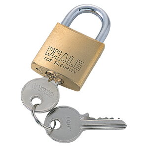 TTvC eZLeB(싞No.1) SLE-1L-1N |   ֘AP t [ {bNX Lrlbg |[` Jo[  h~ h bN 싞 ZLeB[ _C V_ 