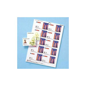 TTvC J[[U[ptHg򖼎h LBP-MMC10KN | h ֘AP h fB[X Y z_[ v  p t@C P[X  X^h 킢 {v TCY j