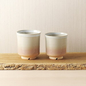 Pvw K20106214 | }{ M q Rbv Xv[ tH[N ֘AP   􂢂₷ H Zbg 傫  yA Ȃ X^h ڂȂ [ ۂ qp 