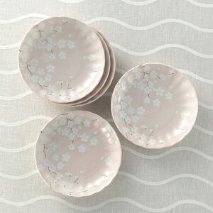 M5 K20207410 | }{ M q Rbv Xv[ tH[N ֘AP   􂢂₷ H Zbg 傫  yA Ȃ X^h ڂȂ [ ۂ qp  