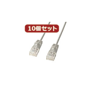 10�Z�b�g�T�����T�v���C �J�e�S��6�����ɍ�LAN�P�[�u�� (���C�g�O���[�A0.5m) KB-SL6-005X10 | �P�[�u�� �֘A�P�� DVI �ϊ� �P�[�u�� HDMI VGA �C���^�[�t�F�[�X �f�B�X�v���C �p�\�R�� DVD �A�i���O 