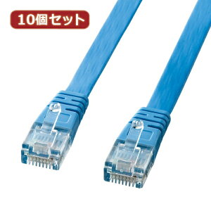 10Zbg TTvC UTPGnXhJeS5tbgP[u(Cgu[E10m) LA-FL5-10LBKX10 | P[u ֘AP DVI P[u HDMI VGA C^[tF[X fBXvC p\R