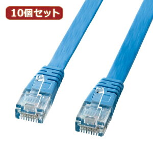 10Zbg TTvC UTPGnXhJeS5tbgP[u(Cgu[E5m) LA-FL5-05LBKX10 | P[u ֘AP DVI P[u HDMI VGA C^[tF[X fBXvC p\R