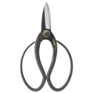 v K20110427 |  ͂ nT~ ֘AP H Ƃ bgR Zbg  | A  P[X u XeX  RpNg   ؂ꖡ ~j 傫 K   