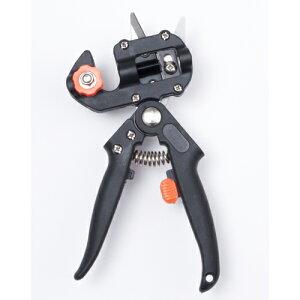 fe ȒPɃv̂悤Ȑڂ؂łuږ؃nT~v DMT1841 |  ͂ nT~ ֘AP H Ƃ bgR Zbg  | A  P[X u XeX  RpN