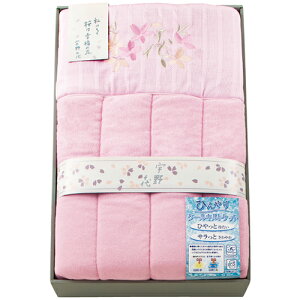 �F���� �Ђ���L���g�P�b�g 2100-042 �֘A�F(�A�C�f�B�A ���Z �O�b�Y ���i ���� ��炵 �֗� ���S)�ΘJ���ӂ̓� �N�����A �����o�� �������� �����j�� �q���̓� �Ď� ���w �O��� ���l�̓�