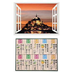 v C̃|X^[ EY T~VF + p܃MtgZbg B6133529+8100444 | Mtg ֘AP َq   Zbg J^O hV̓ {bNX bsO ̓ ̓