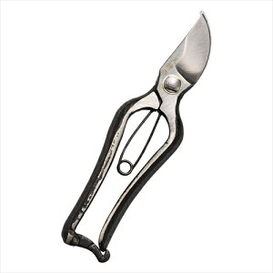 b K20613444 |  ͂ nT~ ֘AP H Ƃ bgR Zbg  | A  P[X u XeX  RpNg   ؂ꖡ ~j 傫 K   