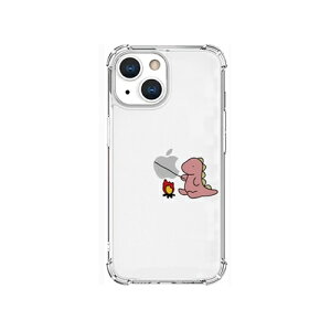 AKAN \tg^tP[X for iPhone 13 mini  sN AK20949i13MN | iPhone ipad ֘AP P[X pro X}z 15 X}[gtH 16 ^ubh 14 air { pc mini  10 9 p\R [d P[u ی