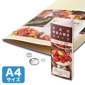 y5Zbgz TTvC J[[U[p ϐE LBP-WPF22MDPNX5 | |XgJ[h  ֘AP   [ k Zbg H  t[ Ǌ| G͂ a4 nKL a3 a2 A[g