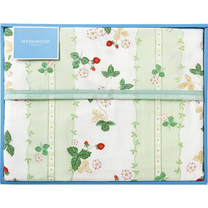 EFbWEbh ChXgx[ Ȗѕz C5091066 | ߗ ѕz Ђ| J[ybg k uPbg m ֘AP  P[X  ^ RpNg  ^ ~ uV [ b