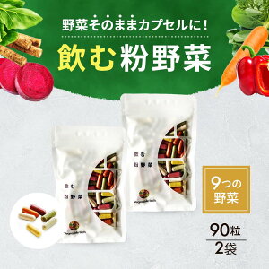 飲む粉野菜 サプリ 野菜そのまま 農薬不使用 15日分 90粒 宮城県産 野菜 使用 野菜不足 サプリメント 送料無料 粉