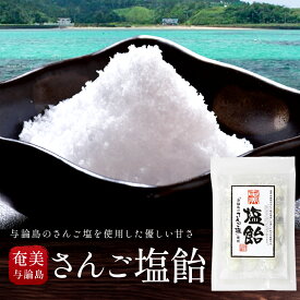 《在庫処分SALE》奄美 さんご塩飴 60g 塩分 補給 チャージ 個包装 キャンディー 国産原料 熱中症対策