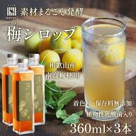 《3本セット》 和歌山県産 南高梅 梅シロップ 発酵のめぐみ 360ml×3本 無添加 国産 紀州 希釈用 植物性…