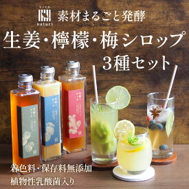 ＼飲み比べ3種セット／ 国産 梅 ジンジャー レモン シロップ 360ml 発酵のめぐみ 無添加 希釈 セット 詰め合わせ ドリンク ジュース 白砂糖 不使用 飲み比べ 瓶 箱 贈り物 誕生日 内祝い お返し お祝い 退職 御中元 御歳暮 お礼 手土産 敬老の日 常温 50代 60代 70代 実用的