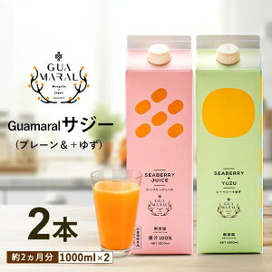 y20X^[gIN[|ōő10OFFzTW[ 1000ml 2{Zbg TW[W[X 䂸 S V[x[ 100% NhN A~m_ Ss v[g S N e v`Mtg 