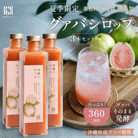 沖縄県産 グアバ シロップ ジュース 360ml 3本セット 発酵のめぐみ グァバ 100% 植物由来 乳酸菌 てんさい糖 発酵シロップ フルーツシロップ 国産 無添加 着色料 保存料 不使用 炭酸割り 希釈 ギフト 健康 美容