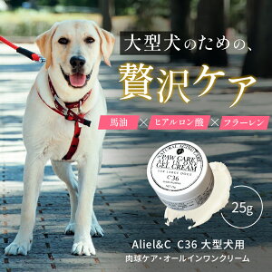 A[AhV[ PAEI[CN[ C36 ^ 25g ybgێN[ pXLPA LpXLPA ybgPA ΍ ی Ђъh~ ybgeT|[g V