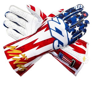 ݌ɌF-273 [VOO[u RWB 2 AJ USA [VOJ[gEspO[u MY2024