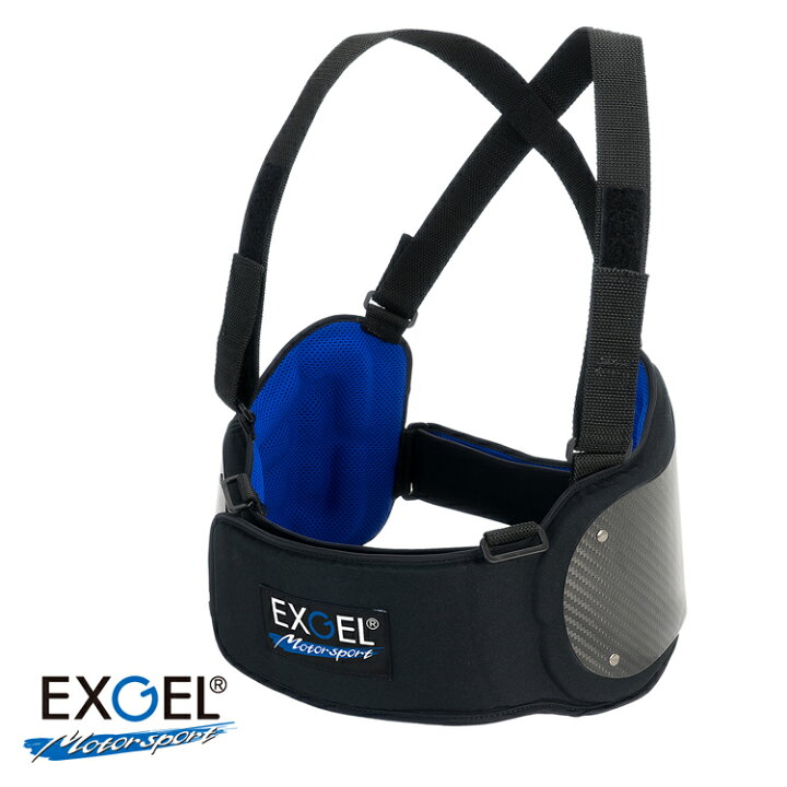 楽天市場】EXGEL エクスジェル DRY CARBON VEST 17 LITE ドライ 