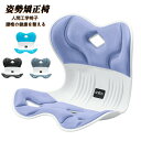 姿勢矯正 椅子【2025最新昇級 座椅子 腰が痛くならない】人体工学 クッション 高反発メモリー綿 骨盤から腰をサポート…