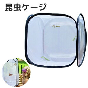 昆虫飼育箱 昆虫ケース 蝶 昆虫ケージ 通気性 ネット 繁殖 透明 飼育ケース 大型 幼虫 虫かご メッシュ 軽量 折りたたみ 植物ケージ 標本箱 折り畳み虫かご 爬虫類 昆虫 バタフライケージ 蝶