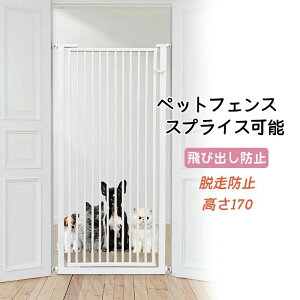 ybgtFX ybgQ[g hAt y K[h[ Ԏd؂ яoh~ XvCX\   gݗ nC^Cv I[gN[Y@\t p L Eh~ Q[ghA   