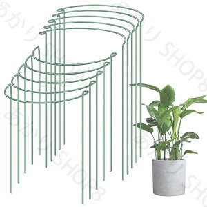 10{Zbg Ax ~` |x E\ AT|[g Ԃ 鐫A ϗtx K[fjOpx Ԏx _Ɨp |p