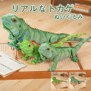 ʂ gJQ Ƃ A ӂӂ ঒  u  낢 q  CeA  90cm