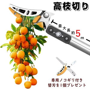 yMtgƂđ֐ntz}؂oT~ } mRM  ͂ } ΂݋ }؂ ΂ }؂ }oT~ }؂΂ }̂ }