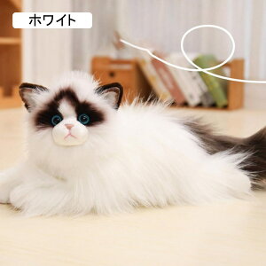 Oh[L ʂ 傫   Oh[L lR  A Oh[Lʂ ʂ  ӂӂ ӂӂɂ 50cm Oh[LObY