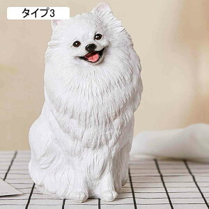 ̒u |jA IuWF K[f  Ck  I[ig F K[f IuWF  G K[fjO CeA }XRbg A zj 蕨 i Ƃ̑ 