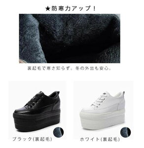 yyV1ʊlzyNу^CvzXj[J[ fB[X 12cm 10cm Cq[ [XAbv y g ~p r X^CAbv V[Y   JWA ʋ ʊw h 