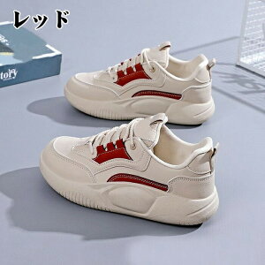 _CGbgXj[J[A_CGbgXj[J[ fB[X JWAV[Y Xj[J[ Xb| O fB[X Xj[J[ 3.5cm lԍHw r L y 